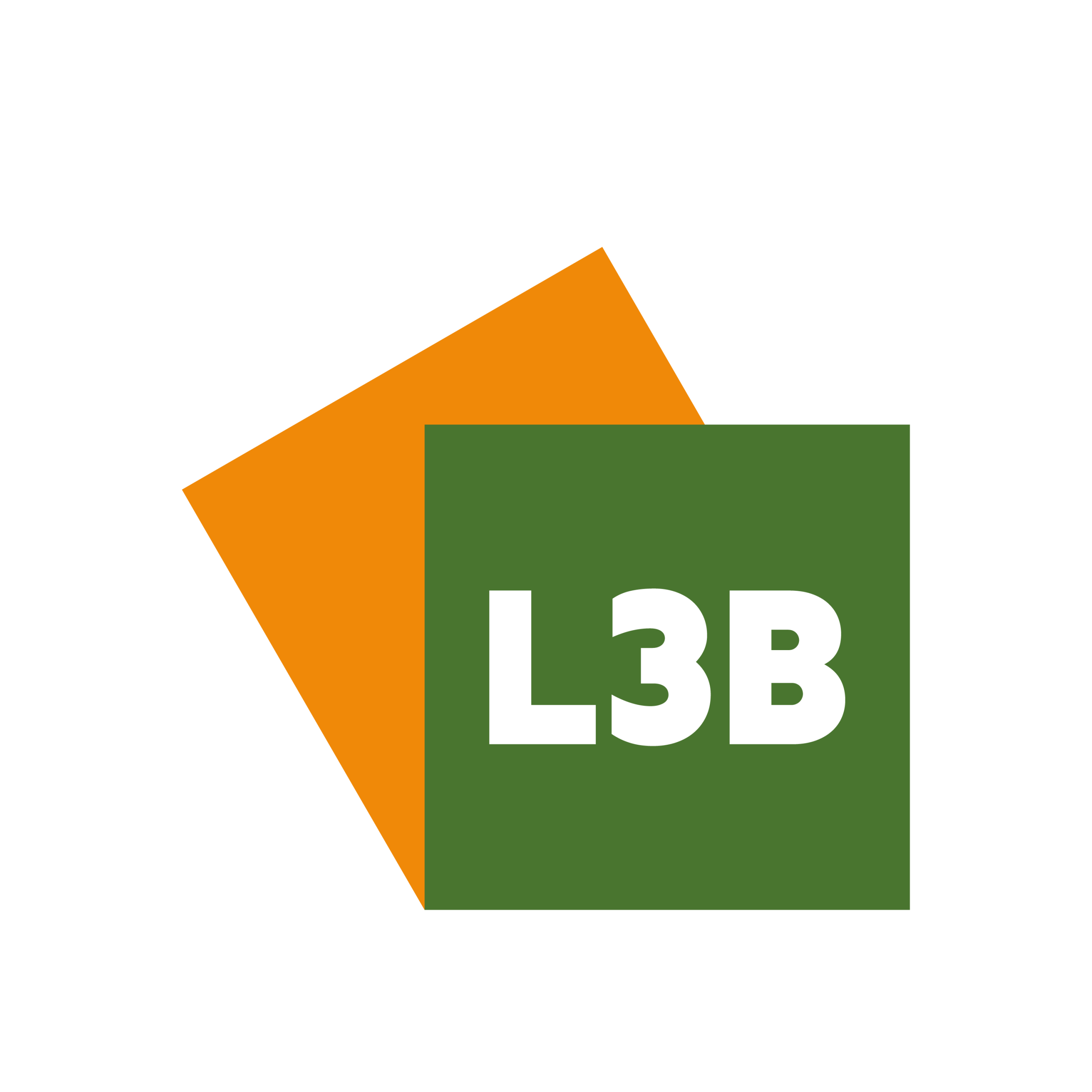 https://stemleefbaar3b.nl/wp-content/uploads/2026/01/Logo-Leefbaar3B_vignet-witruimte-scaled.png